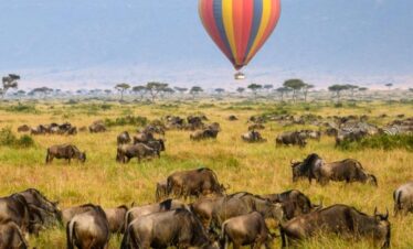 4-Days Masai Mara & Lake Nakuru Safari – All Inclusive
